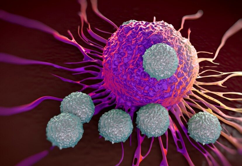 بیوتکنولوژی نوآورانه ایمن درمانی هدفمند برای از بین بردن سلول‌های سرطانی مقاوم به درمان را بهبود می‌بخشد.