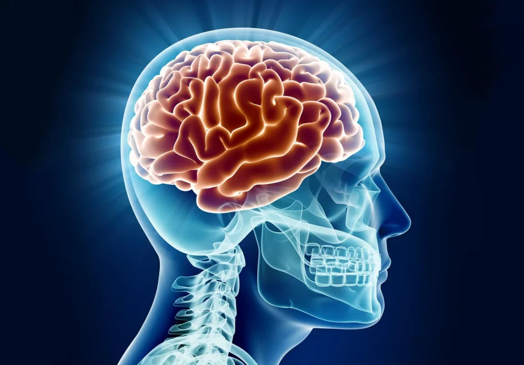 آیا مغز انسان قابلیت بازسازی خودش را دارد؟